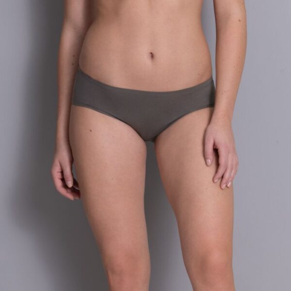 Anita Essentials Hipster Briefs