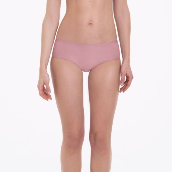 Anita Essentials Hipster Briefs - Image 8