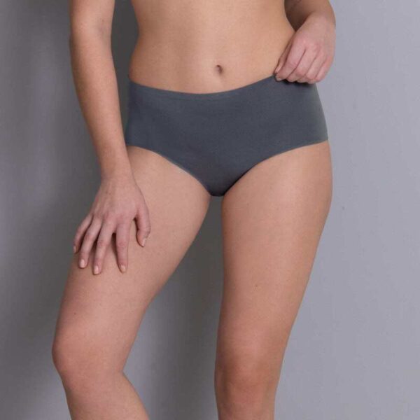Anita Essentials High Waist Briefs