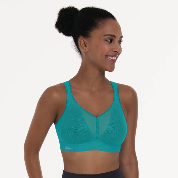 Anita Maximum Support Sports Bra