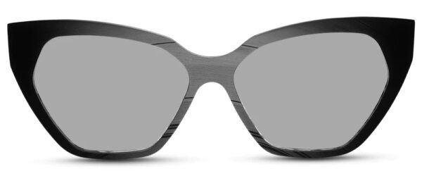 Express Sunglasses - Image 3