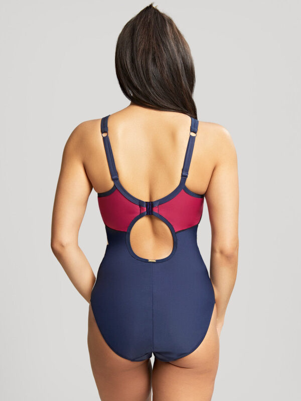Panache Limitless Swimsuit - Image 2