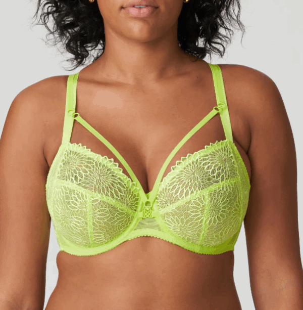 Prima Donna Sophora - Image 6