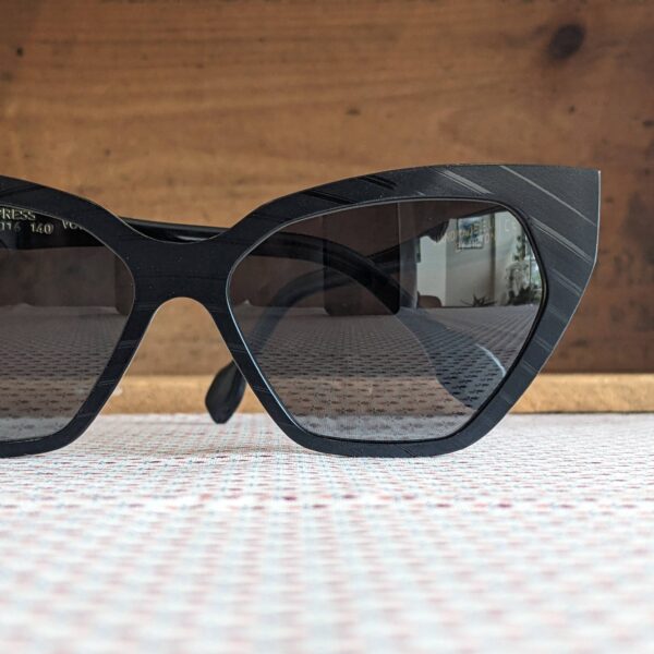 Express Sunglasses - Image 2