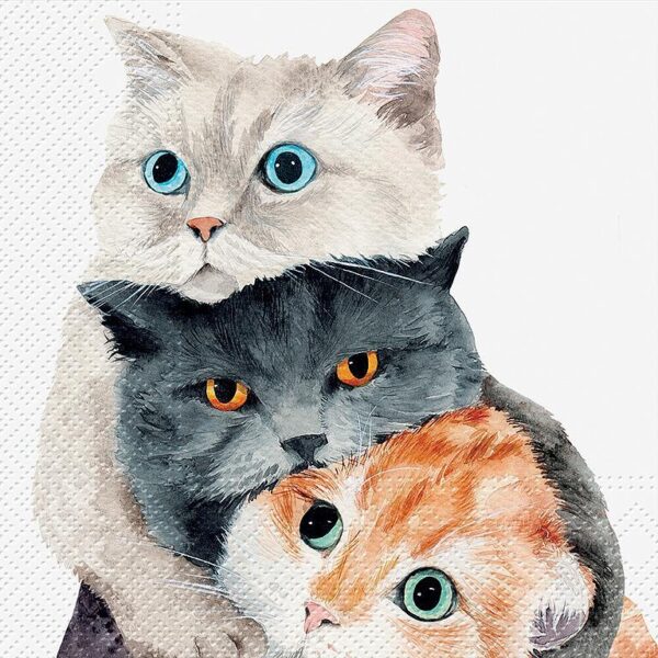 Luncheon Better Together Cat Napkins. Pack of 20.