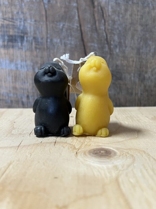 Fluff & Flicker