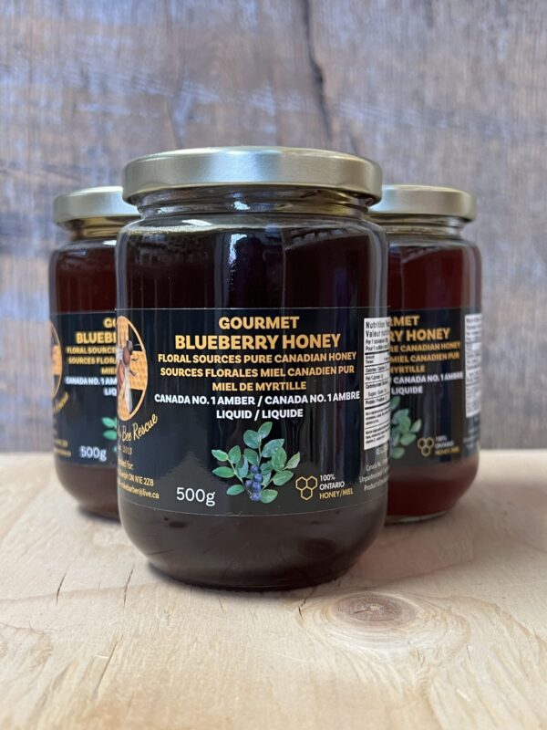 Gourmet Blueberry Honey