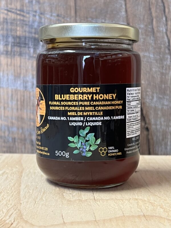 Gourmet Blueberry Honey - Image 2