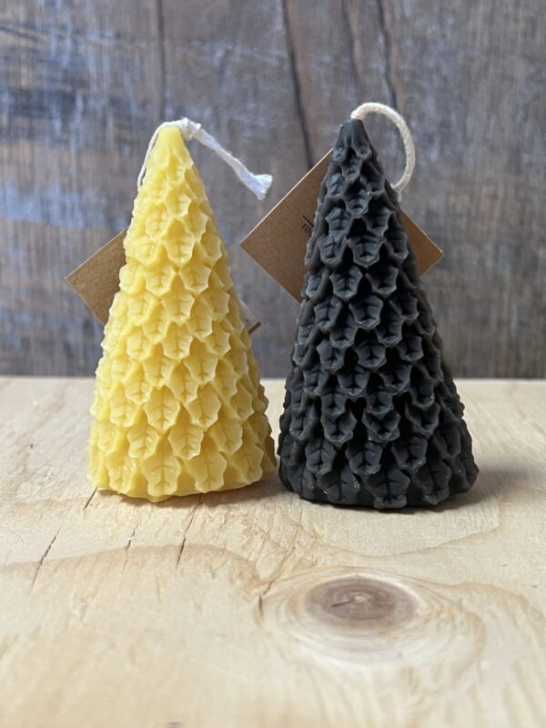 Evergreen Candle
