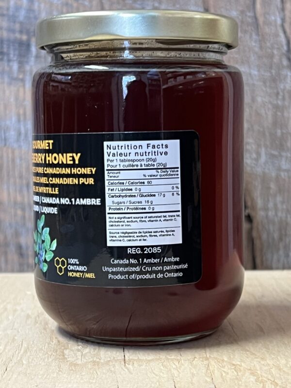Gourmet Blueberry Honey - Image 3