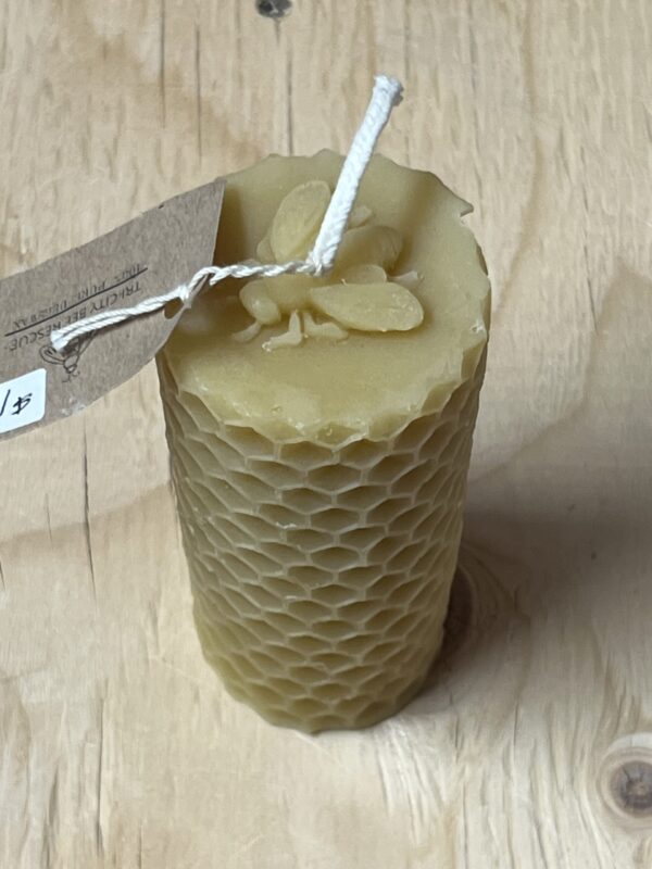Honeycomb Pillar Candle