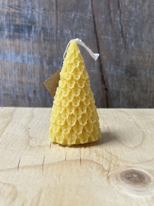 Evergreen Candle - Image 3