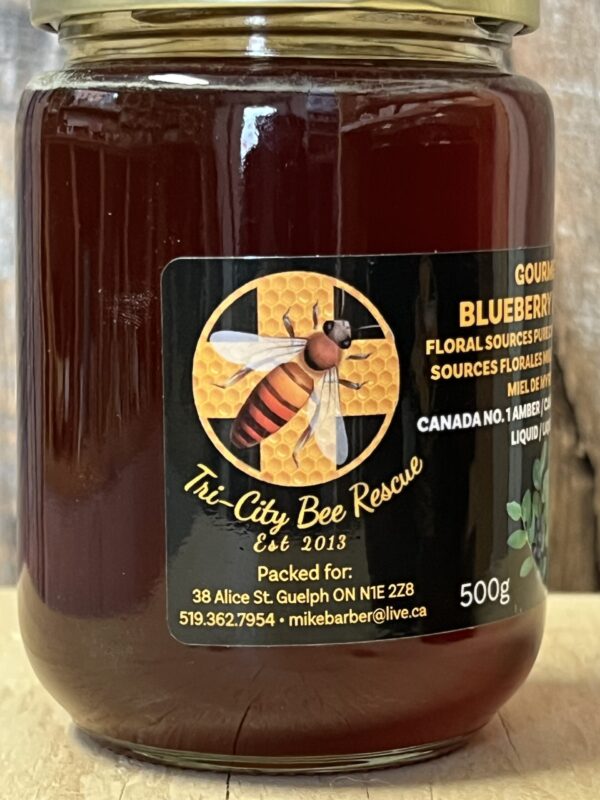 Gourmet Blueberry Honey - Image 4
