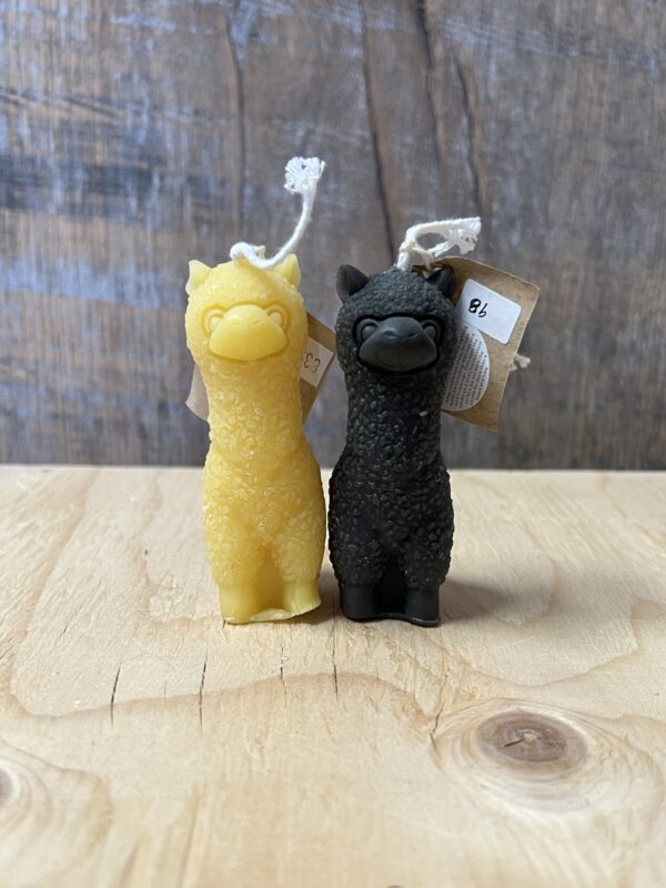 Llama Lantern Candle