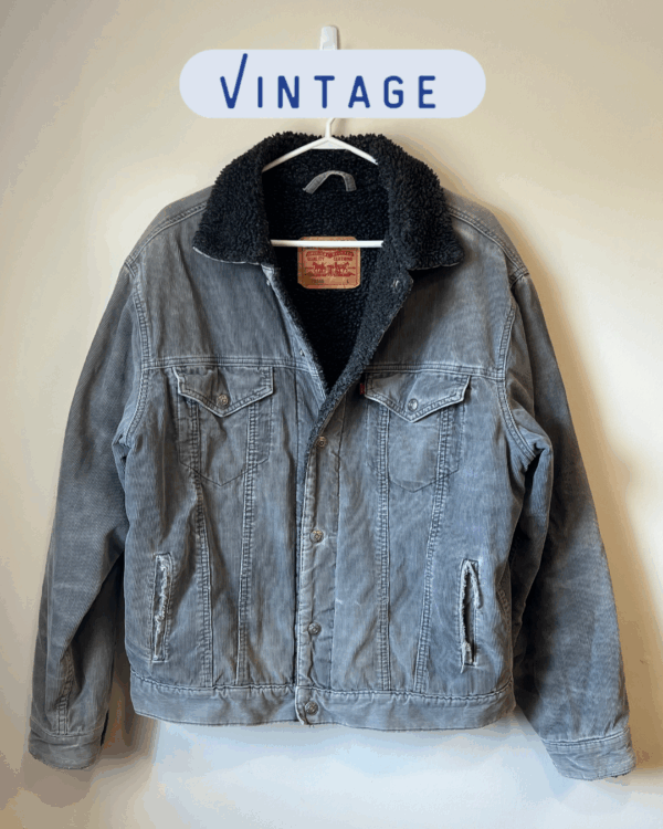 Levi Warm Denim Jacket