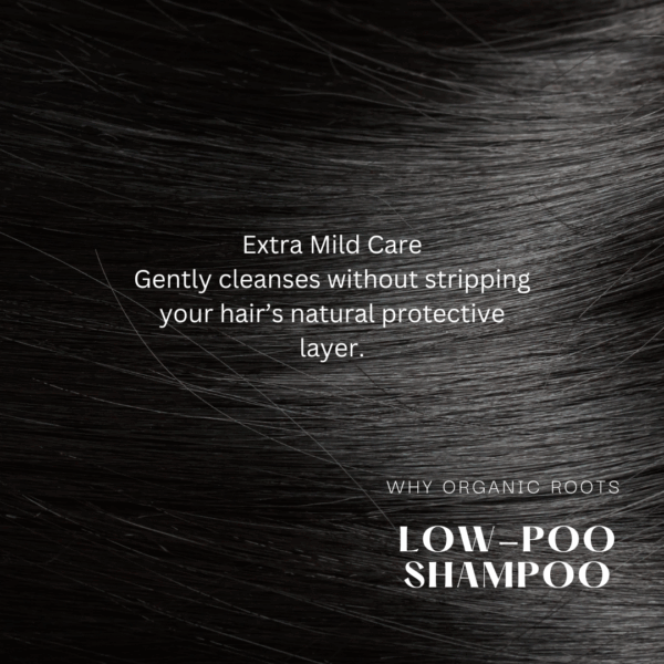 Natural Shampoo & Conditioner (Reetha) 300ml - Image 14