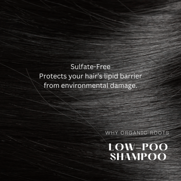 Natural Shampoo & Conditioner (Reetha) 300ml - Image 18