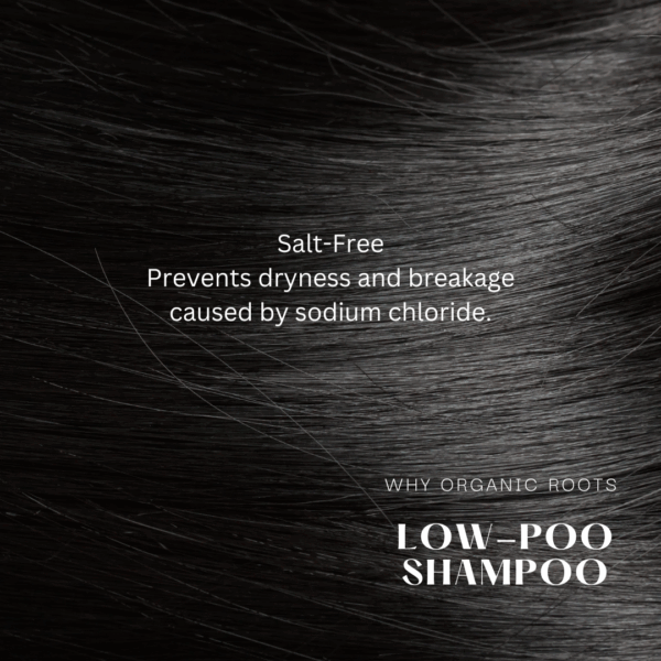 Natural Shampoo & Conditioner (Reetha) 300ml - Image 15