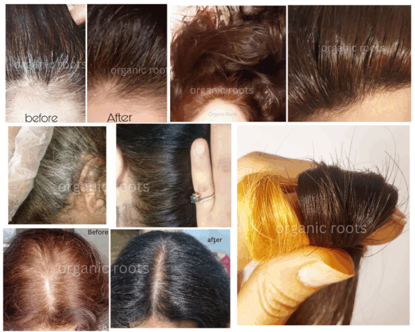 Natural Color Kit | Combo Kit (Indigo + Lava Henna + Accessories) - Image 406
