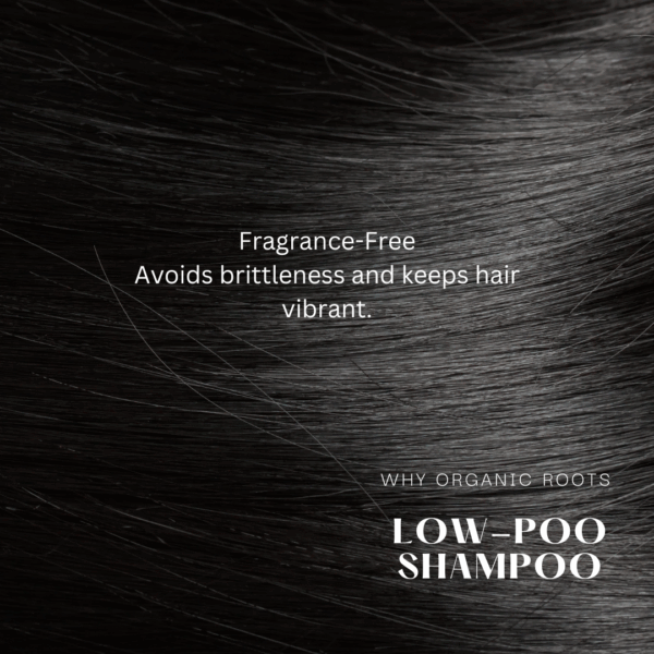 Natural Shampoo & Conditioner (Reetha) 300ml - Image 17