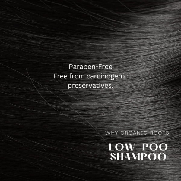 Natural Shampoo & Conditioner (Reetha) 300ml - Image 13
