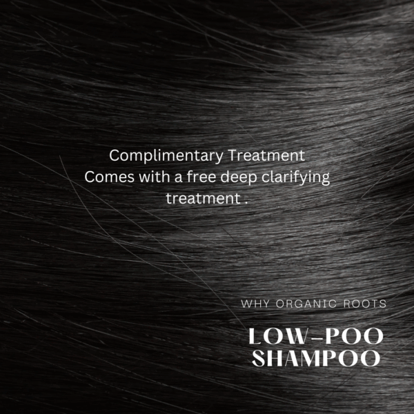 Natural Shampoo & Conditioner (Reetha) 300ml - Image 16