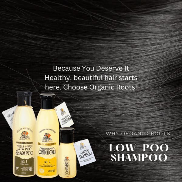 Natural Shampoo & Conditioner (Reetha) 300ml - Image 11