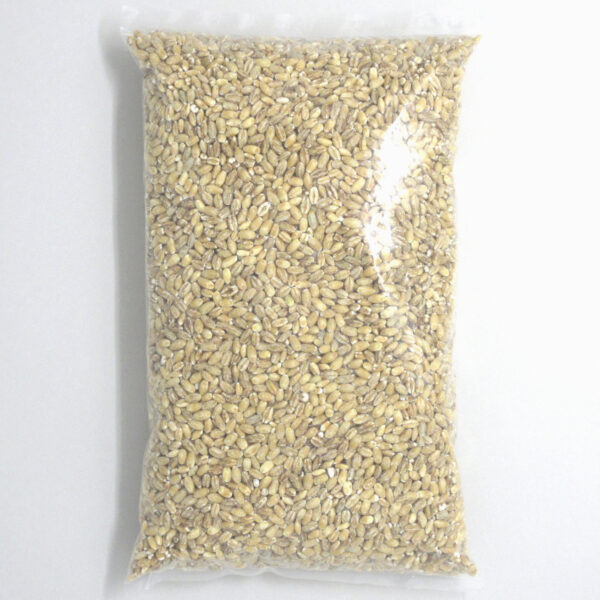 Pot Barley - Image 4