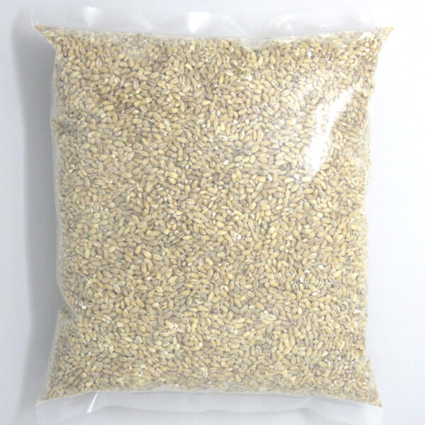Pot Barley - Image 3