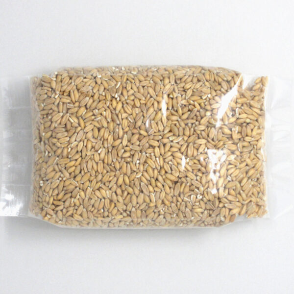 Spelt Kernels - Image 3
