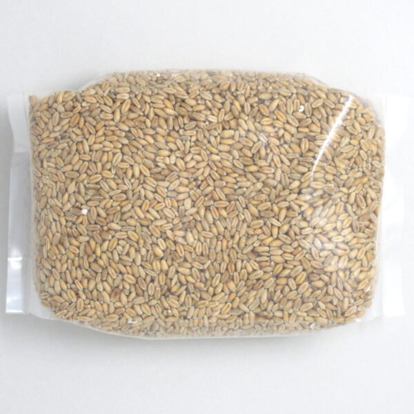 Wheat Kernels Soft - Image 3