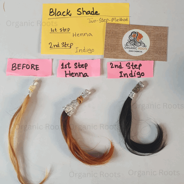 Natural Color Kit | Combo Kit (Indigo + Lava Henna + Accessories) - Image 395
