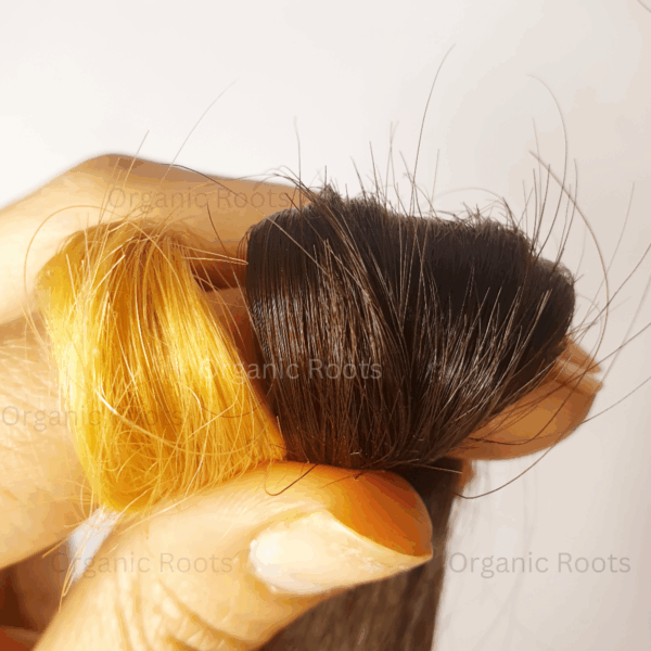 Natural Color Kit | Combo Kit (Indigo + Lava Henna + Accessories) - Image 401