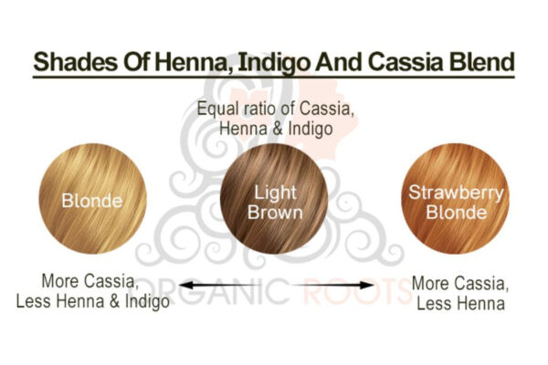 Natural Hair Color Kit | Trio Kit  | For Blonde -Light Brown - Image 39