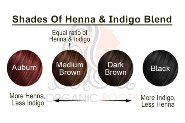 Natural Color Kit | Combo Kit (Indigo + Lava Henna + Accessories) - Image 391